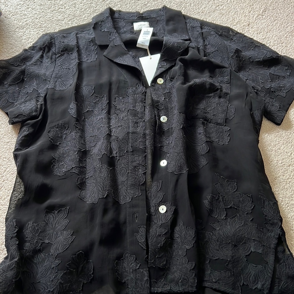 Aritzia Sheer Floral Button Down